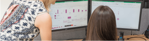 Image of an Analyst looking at a computer screen
