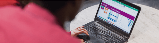 An image of a Statistician on their laptop
